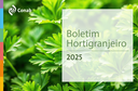 9º Boletim Prohort 2025
