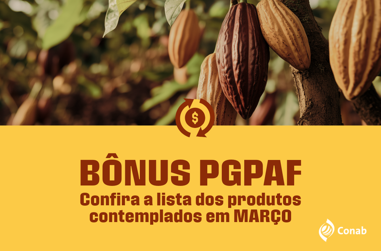10.03.26 - Bônus PGPAF_Destaque Novo Site.png