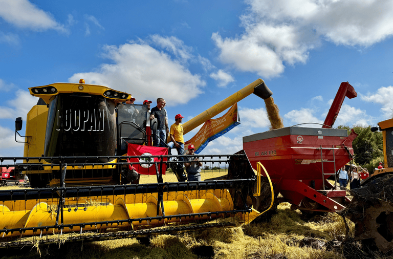 Design sem nome (45) (2).png