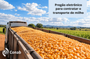 pregao-transporte-milho-conab-branco-esquerda-1000x659 (1) (1).png