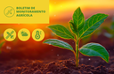 Boletim de Monitoramento Agrícola (BMA)