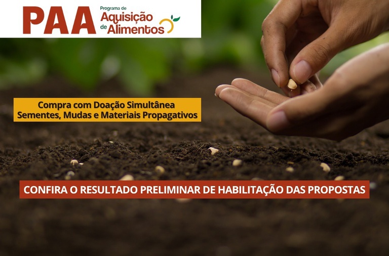 Imagem: Conab divulga classificação preliminar de 320 projetos do PAA Sementes para 2026