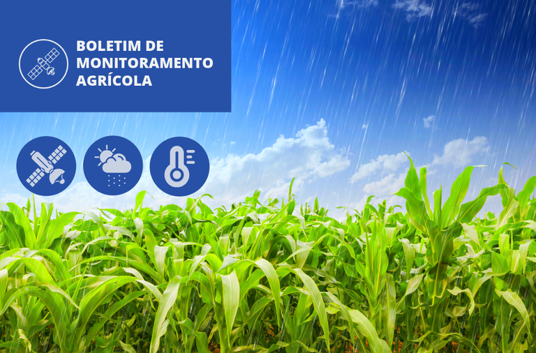 Imagem: Conab divulga novo monitoramento agrícola para regiões produtoras de grãos