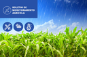 Imagem: Conab divulga novo monitoramento agrícola para regiões produtoras de grãos