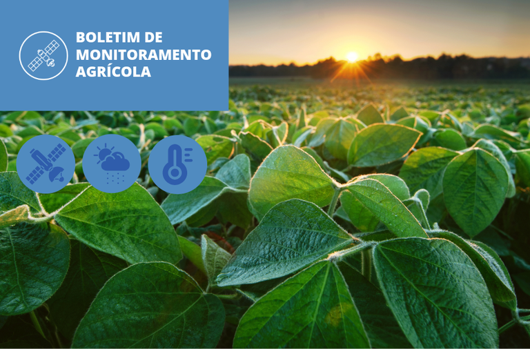 Imagem: Condições climáticas favorecem desenvolvimento da soja na maior parte do país
