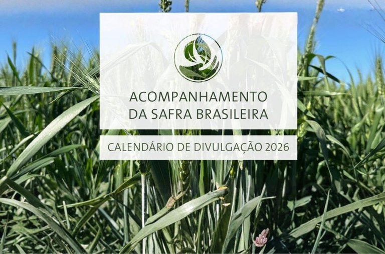 Imagem: Confira o calendário de 2026 de levantamentos das safras agrícolas e do mercado hortigranjeiro