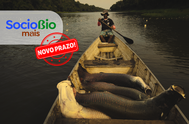 Imagem:  Documentação de beneficiários do programa Sociobio Mais pode ser enviada até 16 de janeiro de 2026