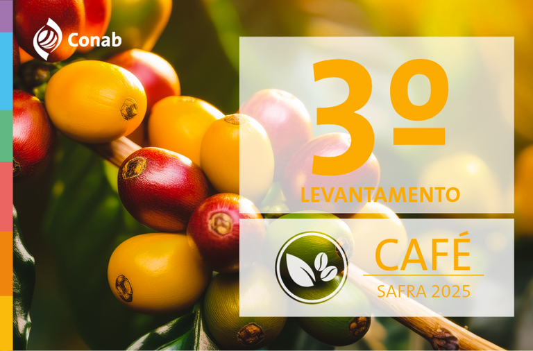 Estimativa atualiza produção de café para 55,2 milhões de sacas na safra 2025