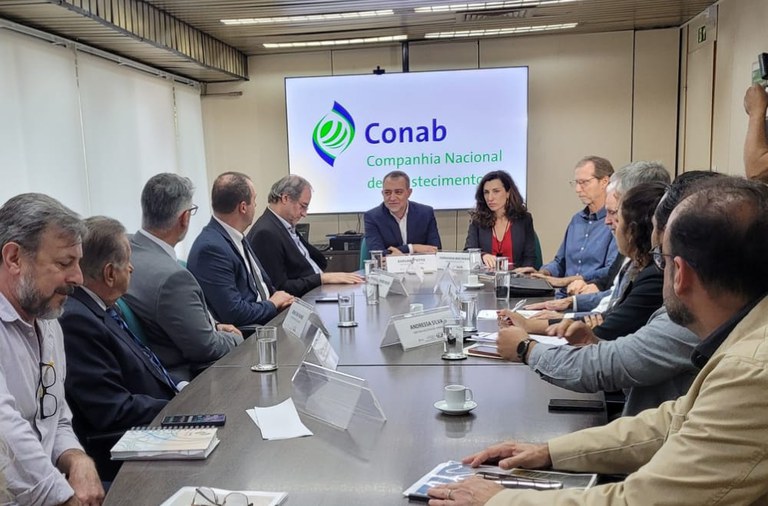 Imagem: Governo Federal reforça ações para equilibrar mercado do arroz e proteger renda de produtores