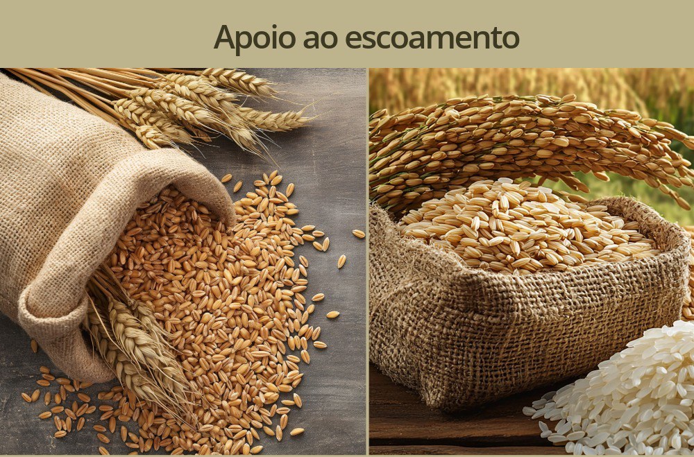 Em novas operações marcadas para esta quarta-feira (24), Conab irá ofertar apoio ao escoamento de 64,7 mil toneladas de trigo da safra de 2025/26 e de 287,3 mil toneladas de arroz da safra de 2024/25