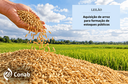 leilao-arroz-conab-branco-esquerda-1000x659 (1).png