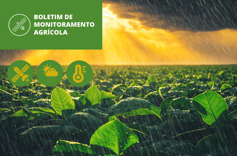 Imagem:  Monitoramento aponta bom desenvolvimento das lavouras com contrastes climáticos no país
