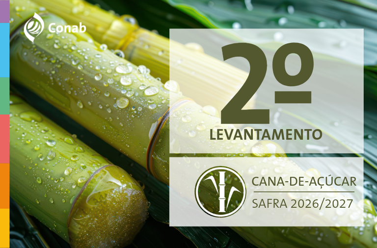 20.08.26 - CANA - Destaque Novo Site.png