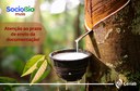 Imagem: Prazo para extrativistas solicitarem pagamento do Sociobio Mais termina no próximo dia 20