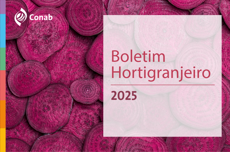 Imagem 10º Boletim Prohort. Beterrabas ao fundo