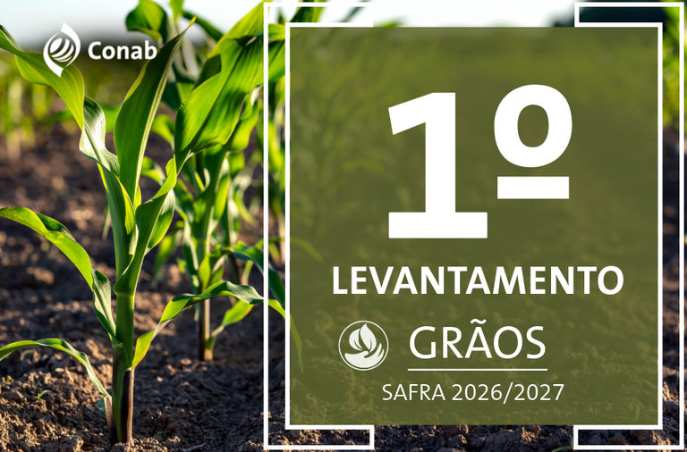 15.10.26 - GRÃOS - Destaque Novo Site-1.png