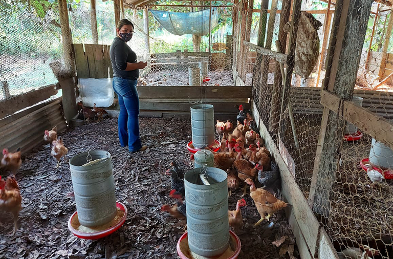 Imagem: Produção de carnes se mantém acima de 31 milhões de toneladas em 2025