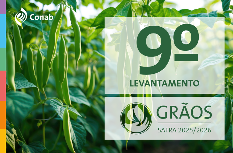 SAFRA DE GRÃOS 2025/26