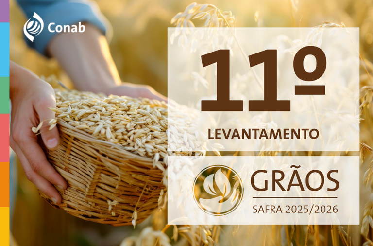 11º Levantamento da Safra de Grãos 2025/2026