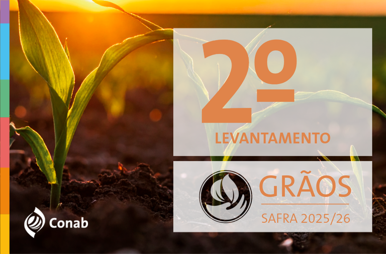 13.11.25 - GRÃOS - Destaque Novo Site.png