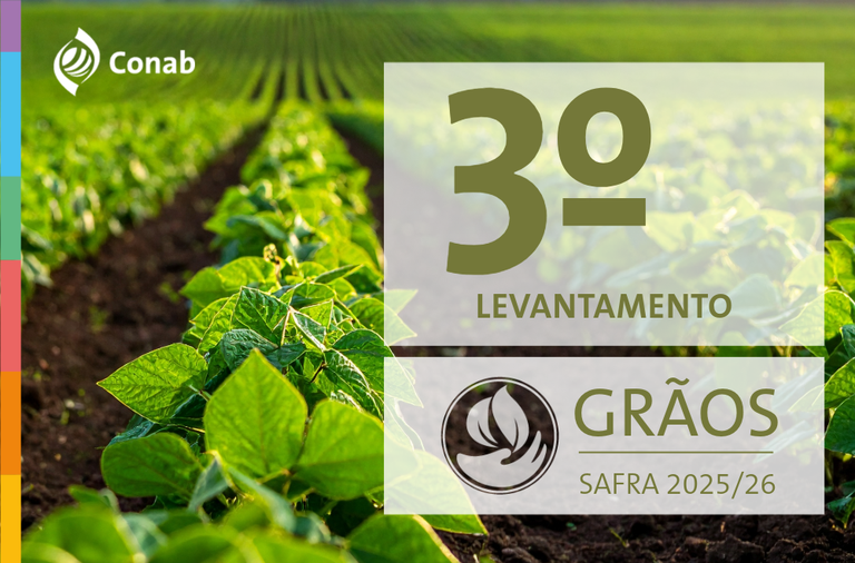 11.12.25 - GRÃOS - Destaque Novo Site.png