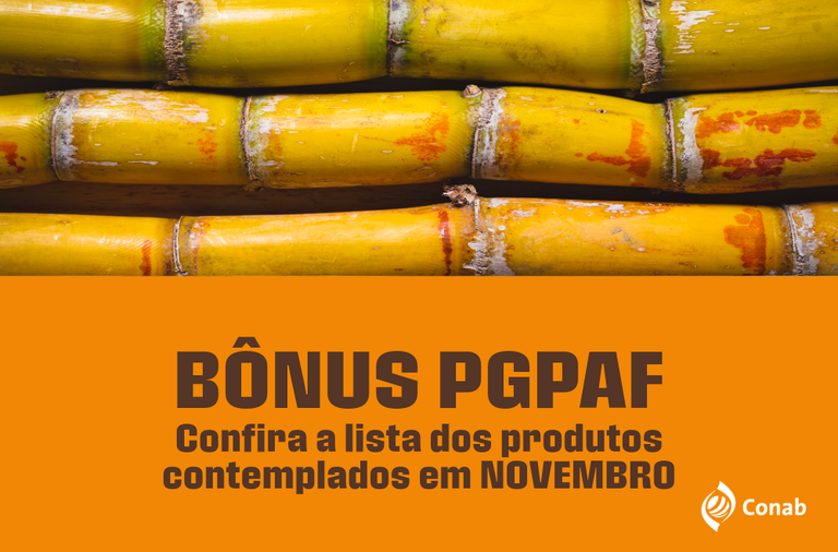 Imagem: Produtores de cana em Pernambuco e Rio Grande do Norte passam a contar com bônus do PGPAF