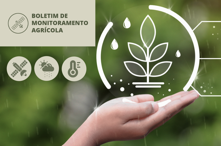 Imagem: Regularidade das chuvas favorece desenvolvimento das lavouras em parte do país
