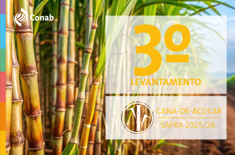 04.11.25 - CANA - Destaque Novo Site.png