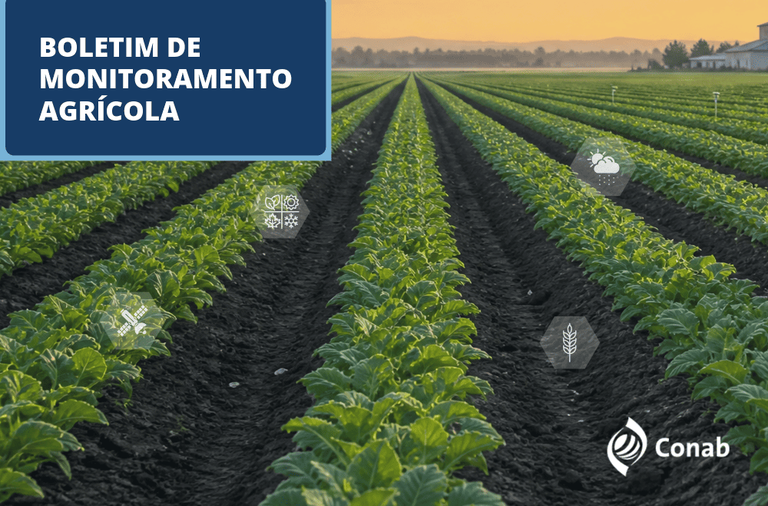 22.09.26 - BMA de SETEMBRO-4-BMA_Destaque Novo Site (1).png