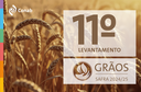 Safra de grãos 2024/25