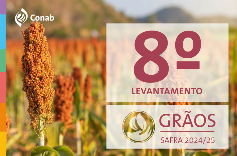 8º Levantamento da Safra de Grãos 2024/25