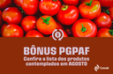07.08.26 - Bônus PGPAF-4-Bônus PGPAF_Destaque Novo Site.png