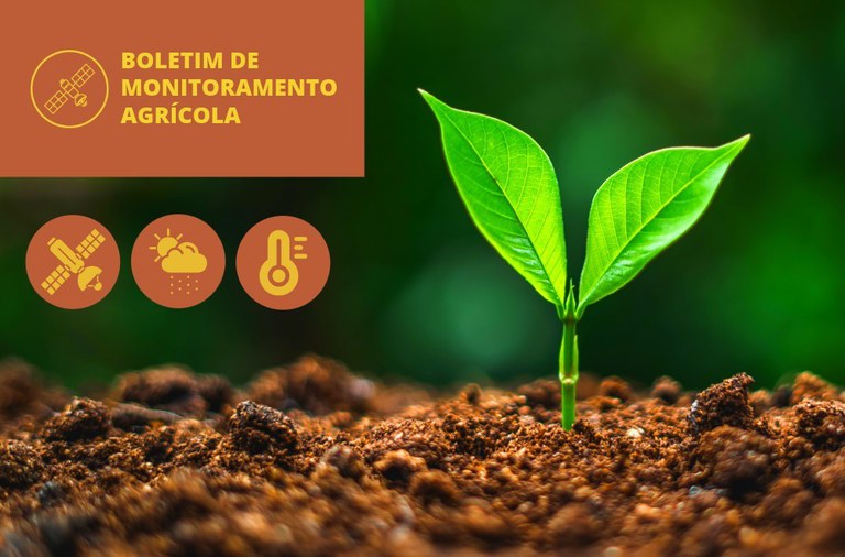 WhatsApp Image 2025-10-31 at 14.08.45.jpeg