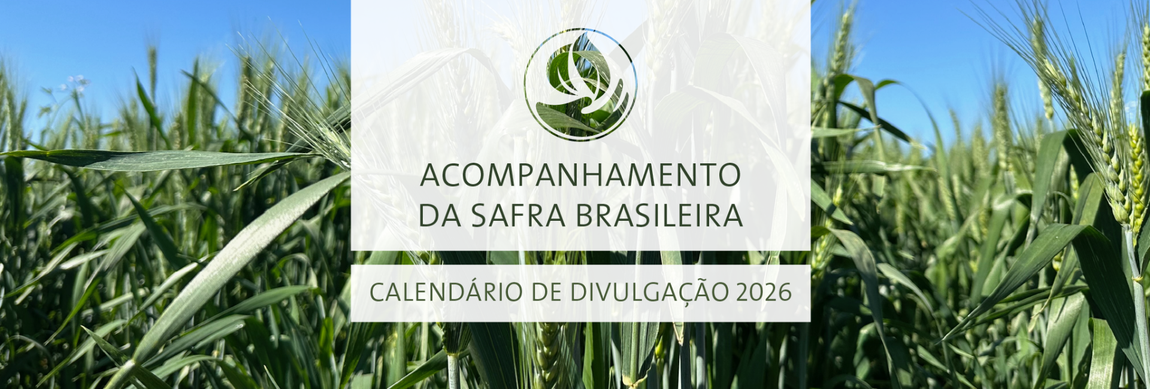 Banner Safra 2026.png