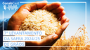 Safra de grãos mantém perspectiva de recorde estimada em 330,3 milhões de toneladas no ciclo 2024/25