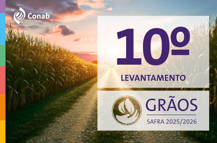 Produção de grãos é estimada em 360,1 milhões de toneladas no ciclo 2025/2026