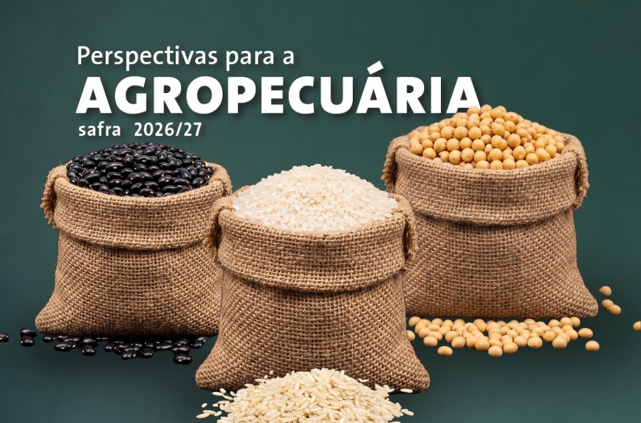 Produção de grãos na safra 2026/27 pode chegar a 366,6 milhões de toneladas, projeta Conab