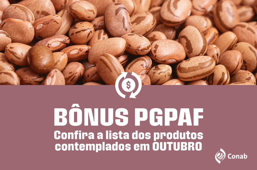 Feijão passa a integrar relação de produtos com acesso ao bônus PGPAF em outubro