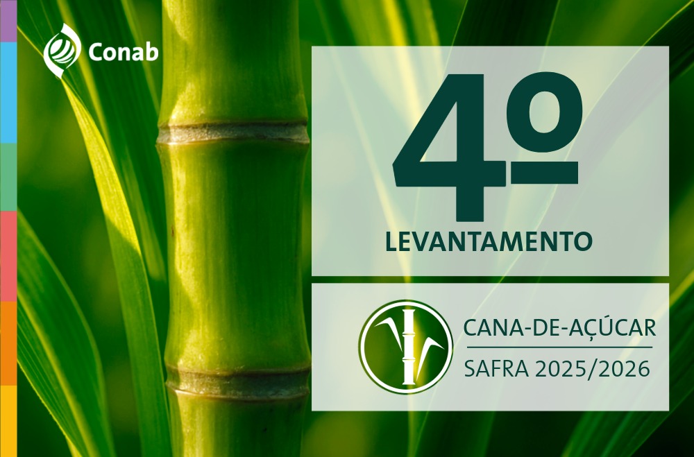 Produção de cana-de-açúcar chega a 673,2 milhões de toneladas na safra 2025/26