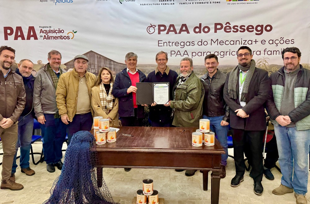 Conab realiza compra inédita de 655 t de filé de peixe, cebola congelada e suco de pêssego da agricultura familiar para 148 cozinhas solidárias no RS