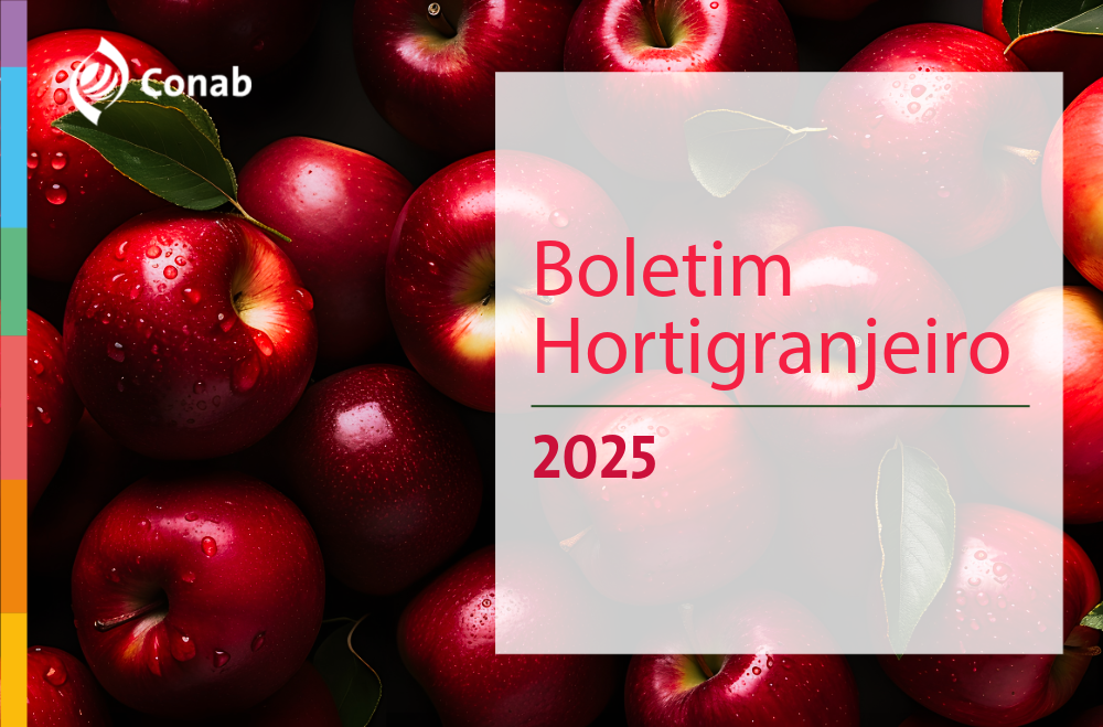 Preços do tomate registram queda superior a 26% nos mercados atacadistas