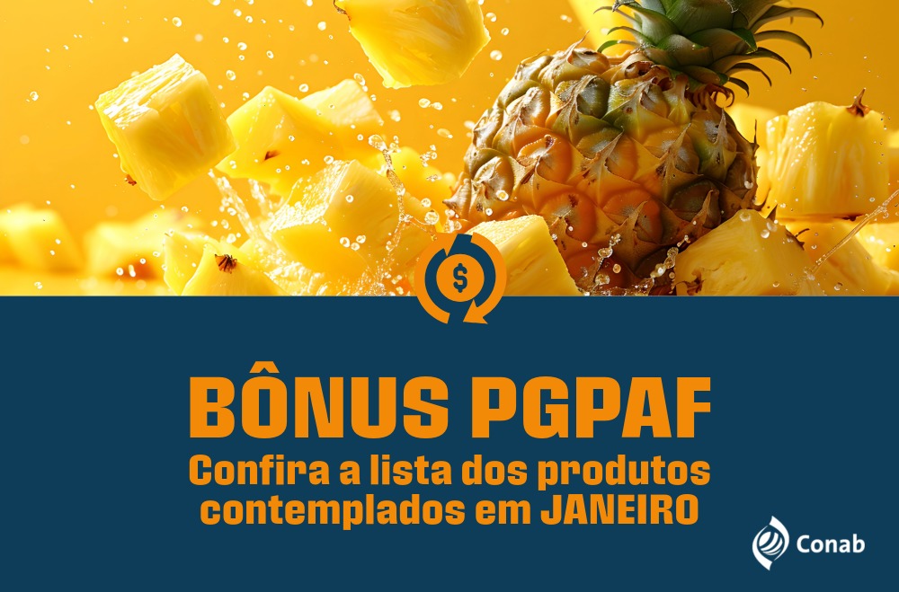 Nova lista com bônus do PGPAF já está disponível