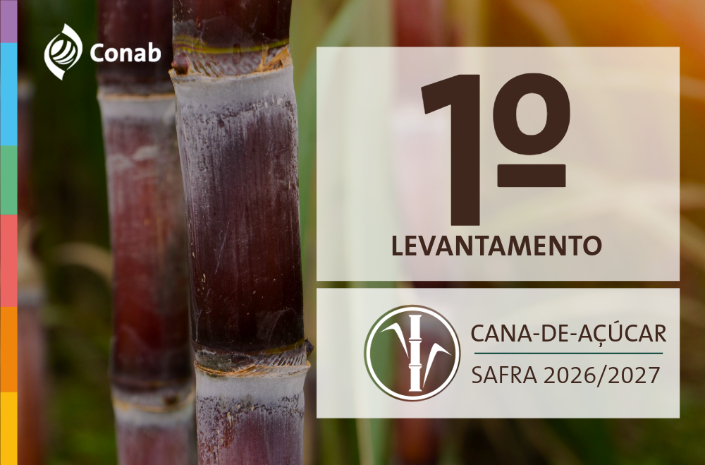 Primeira estimativa traz produção de cana-de-açúcar em 709,1 milhões de toneladas na safra 2026/27