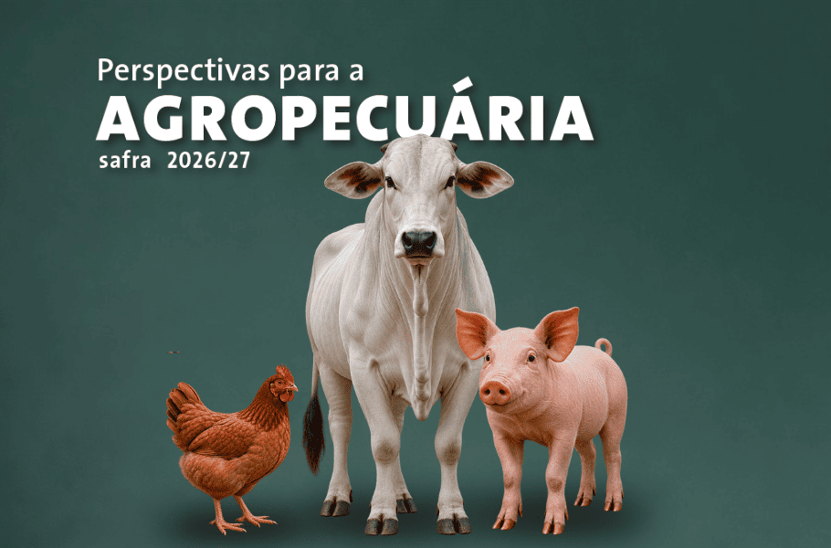 Produção brasileira de carnes deve ultrapassar 34 milhões de toneladas em 2026 e 2027