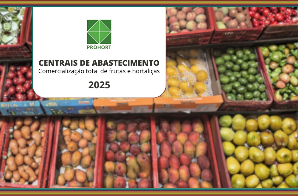 Comercialização de frutas e de hortaliças nas Ceasas brasileiras totalizam 16,6 milhões de toneladas em 2025