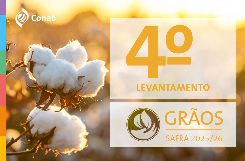 Produção de grãos e área plantada da safra 2025/26 mantém perspectiva de novos recordes