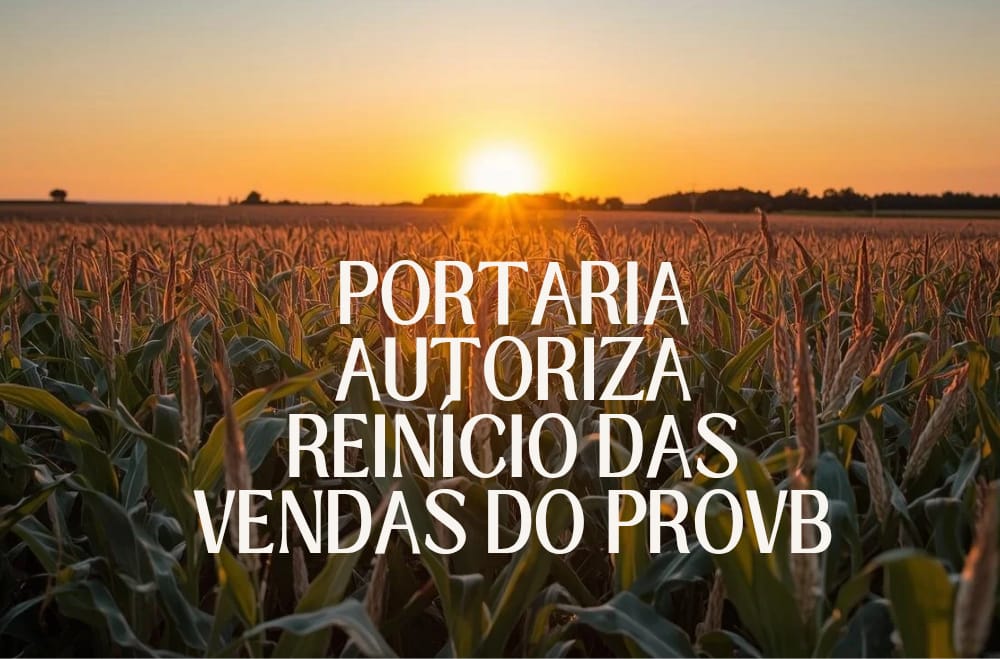 ProVB: portaria interministerial autoriza o reinício das vendas de milho