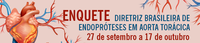 Enquete sobre “Diretriz de Endopróteses em Aorta Torácica” é lançada pela Conitec