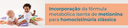 arte_incorporacao_metionina_banner_01.png