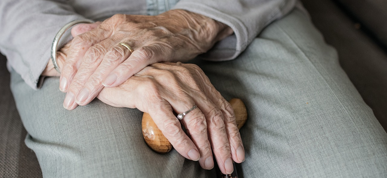 ciclos de vida capa.png